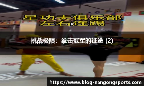 挑战极限：拳击冠军的征途 (2)